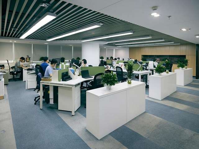 温州如何快速成人高考报名