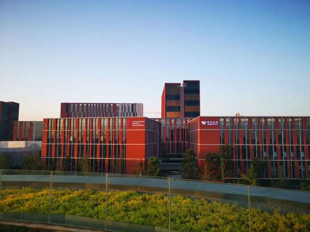 苏州轮廓度检测量大从优