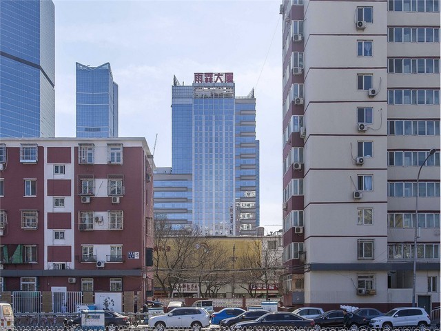 虎丘区肥牛一号报价